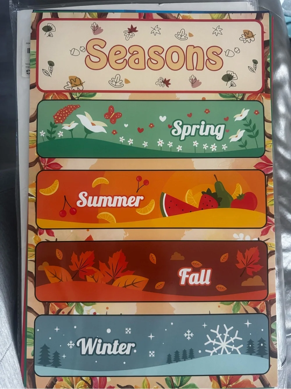 20 Pack Large Kids Laminated